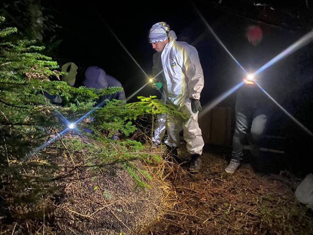 Orman yangınlarından sonra şimdi de 'dumansız yangın' paniği! On binlercesi doğaya salındı 7